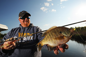 image of Bro with big sunfish