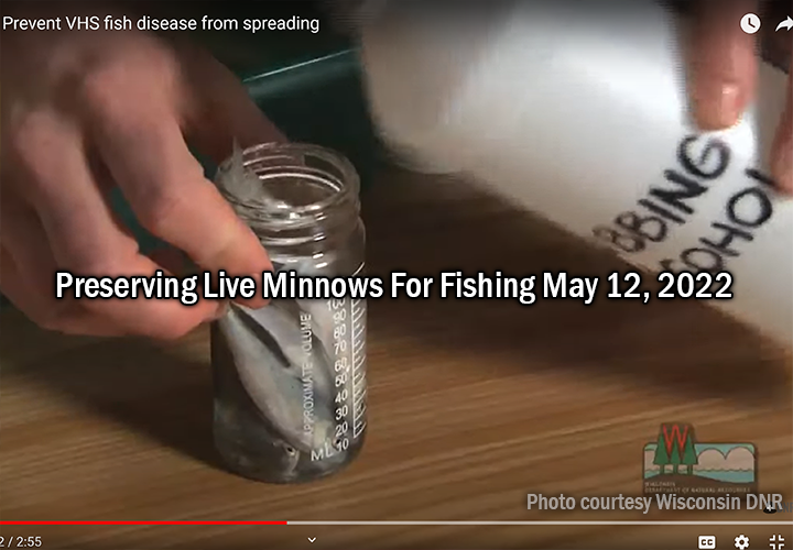 Live Bait Supplies Minnesota Shiners Leeches Redtails