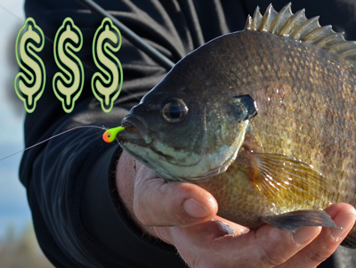 image of jeff sundin with big bluegill