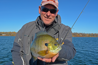 image of jeff sundin with big bluegill