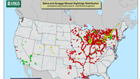 image of map showing the distribution of zebra mussels