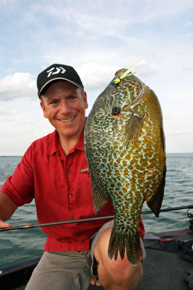 Lake St Clair Fish Species Chart