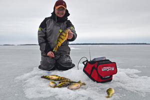 Leech Lake Ice Fishing For Jumbo Perch