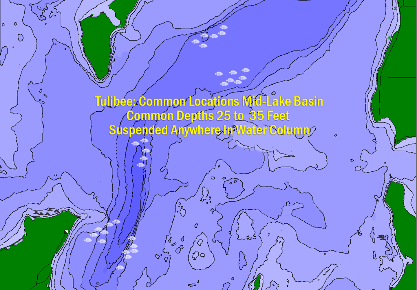 image of lakemaster map showing common locations for ice fishing tullibees