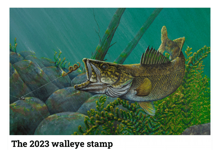 image of Minnesota 2023 Walleye Stamp