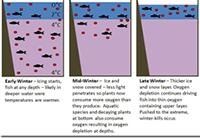 image links tyo ice fishing article about late winter crappies and panfish
