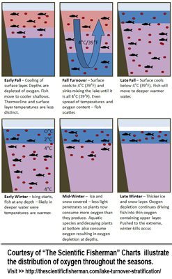 image of stratification chart