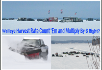image of walleye anglers on the ice links to fishing article