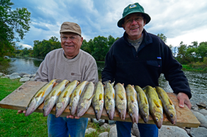 image of anglers with walleye limits