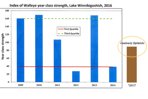 image of walleye year class chart