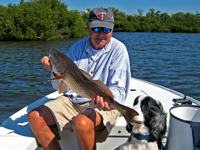 image of Redfish caught by Carl Bergquist near Sanibel Southwest Florida