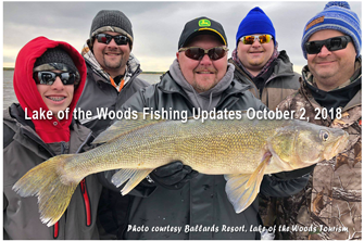 image links to lake of the woods fishing report