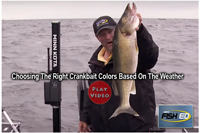 image links to walleye fishing video