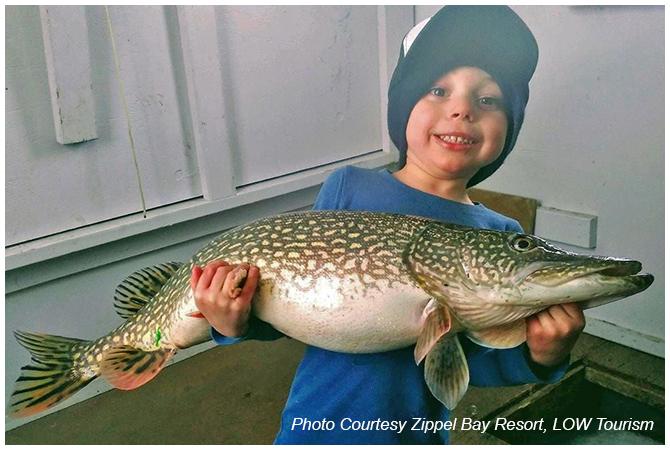 image of Maverick with big northern pike