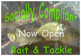 image links to report about bait shops reopening in minnesota