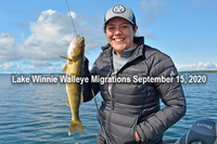 image links to winnie walleye report