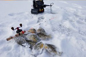 image links to Central Minnesota Fishing Report