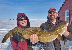 image links to lake of the woods ice fishing report 