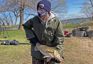 image of DNR Fisheries staff handling big walleye at lake sarah egg take site