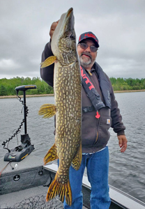 image of angler holding huge pike caught on kabetogama