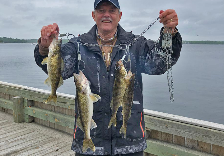 image of angler holding stringer of walleyes caught on the dock at Driftwood Resort
