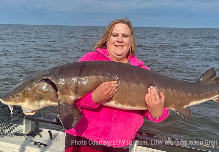 image of woman with giant sturgeon caught on lake of the woods