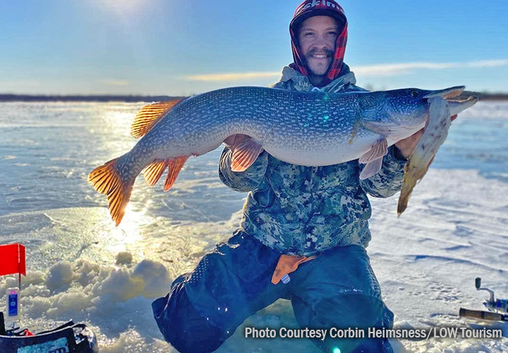 image of angler holding giant northern pike caught on Lake of the Woods