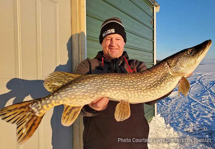 image links to ice fishing report from lake of the woods