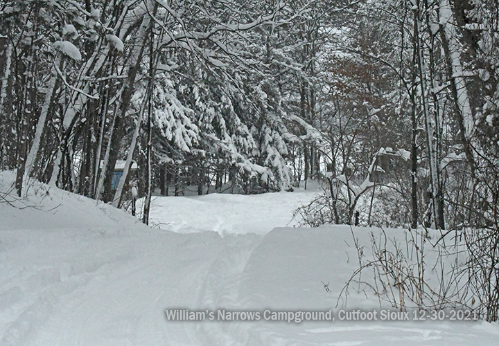 image of the public access at William's Narrows Campground on Cutfoot Sioux