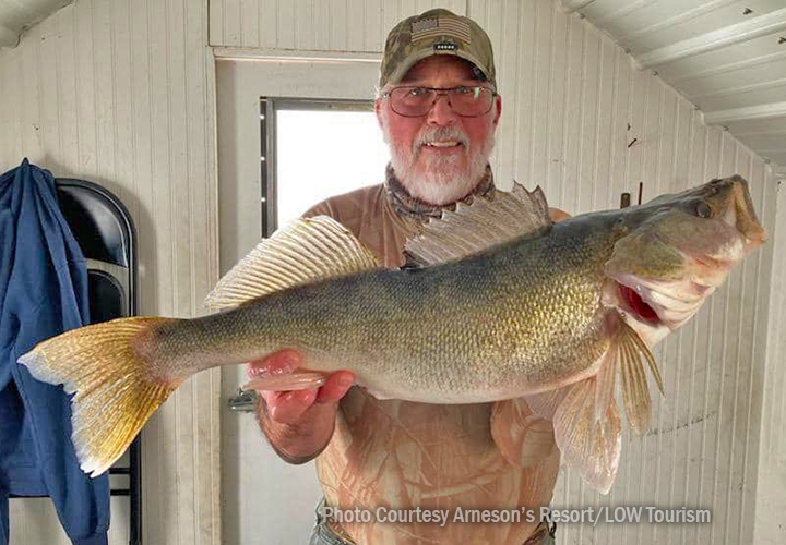 image of ice fisherman holding big walleye caught on lake of the woods at arneson's resort
