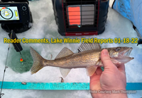 image of angler holding typical Lake Winnie Walleye