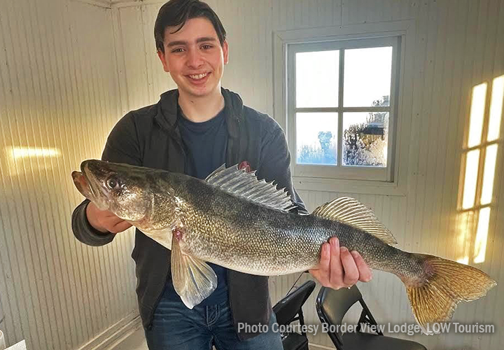 image of young man with huge walleye caught on Lake of the Woods while fishing at Border View Lodge