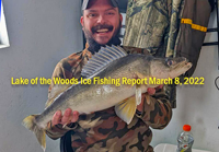 image of ice fisherman holding nice walleye he caught on lake of the woods 