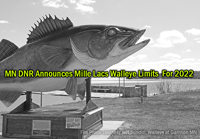 image of walleye statue at Garrison Minnesota