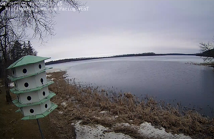 image of water levels at Williams Narrows on Cutfoot Sioux via the live webcams located at William's Narrows Resort