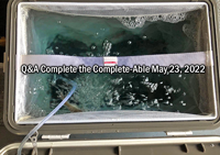 image of minnows in live bait cooler