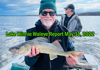 image of walleye caught on Lake Winnie by pines resort guest