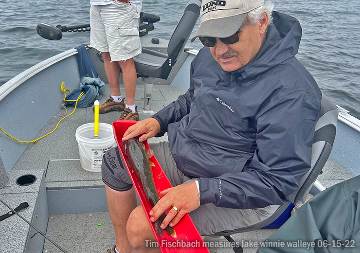 image of Tim Fischbach measuring a walleye caught on lake winnie