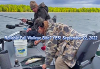 image of Greg Kessler landing nice walleye on Lake Winnie