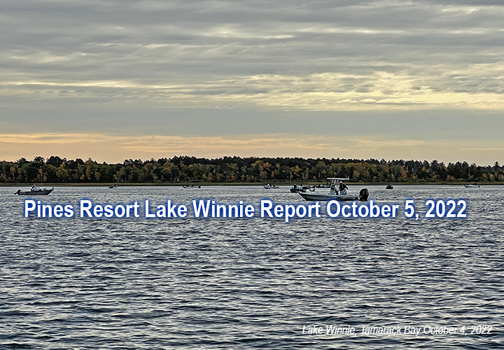 image links to fishing report from the pines resort on Lake Winnibigoshish