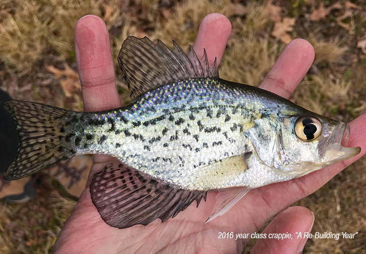 Minnesota 2022 Fall Edition Fishing Reports