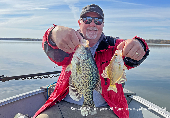 image of Kendall Richlen comparing 2016-year-class crappie to mature adult