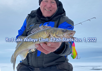 image of ice fisherman with nice walleye caught on upper red lake
