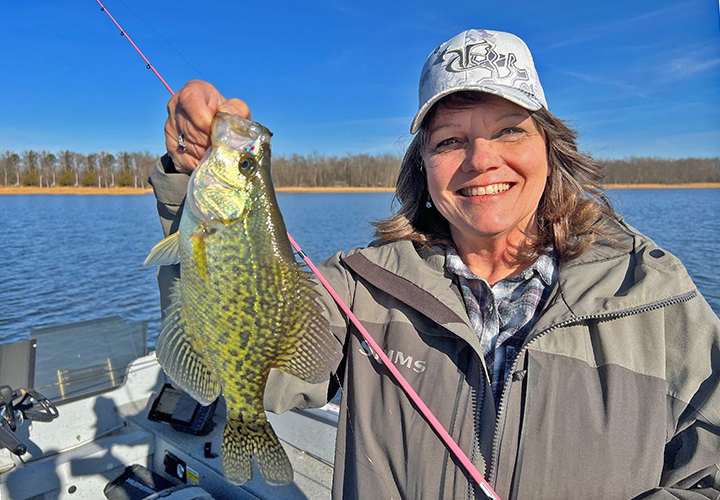 Pressure Series - Chartreuse Crappie - 6th Sense Fishing