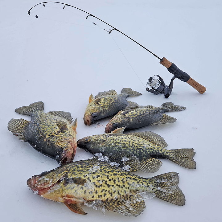 Ice Fishing Reports MN North Central January 2023