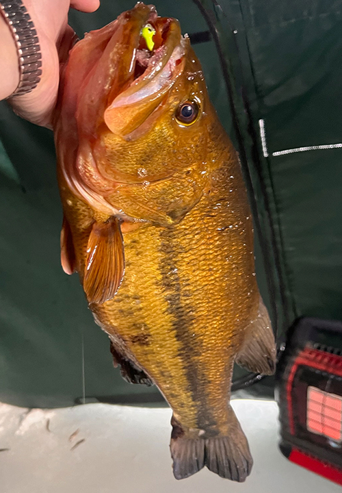 Ice Fishing Reports MN North Central January 2023