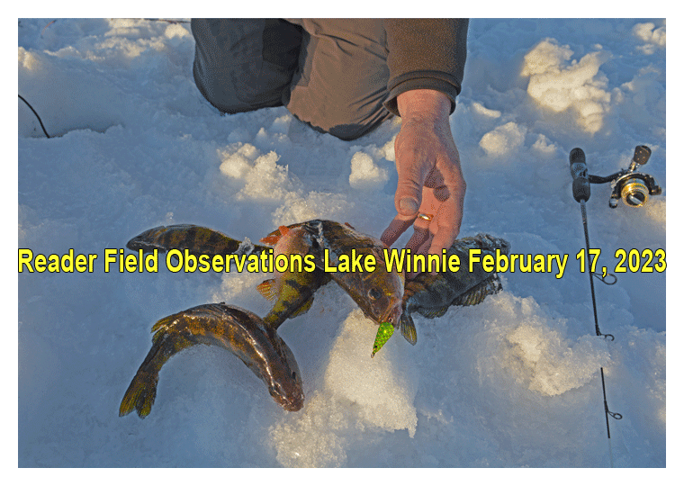 image links to reader reports from Lake Winnie