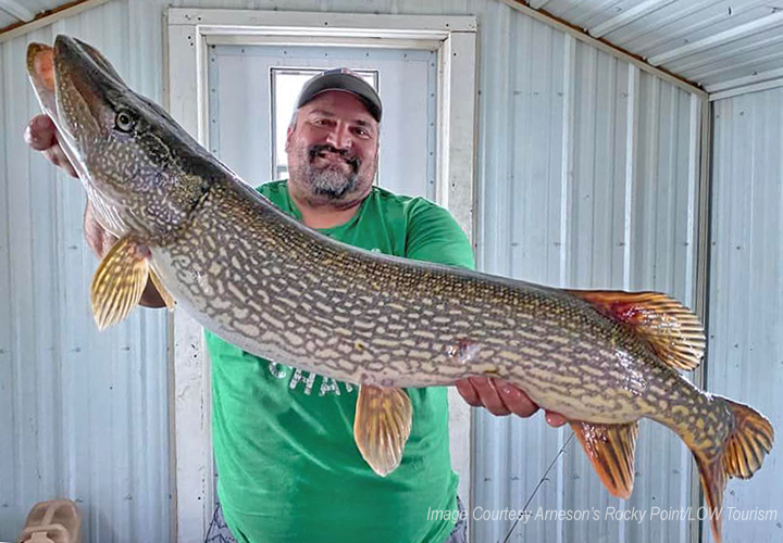 Top Five Lures for Northern Idaho Pike