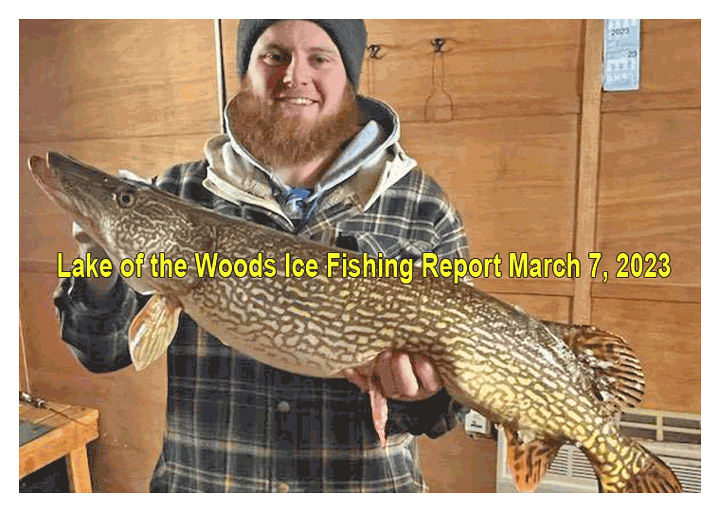 image links to ice fishing report from lake of the Woods