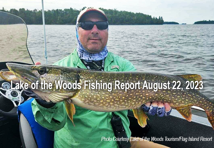 image links to fishing report from Lake of the Woods